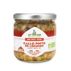 Gallo pinto de légumes